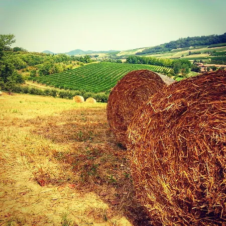 Hotel Medea (adults Only) 3*