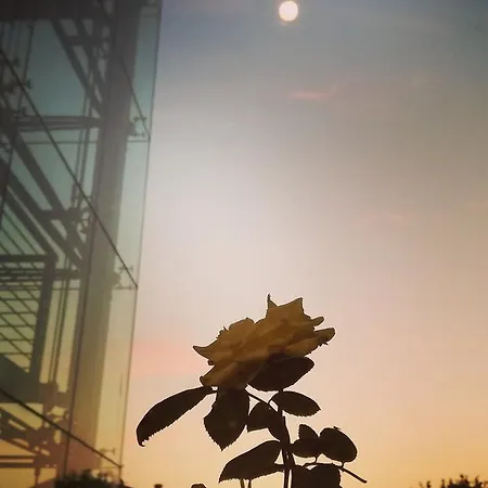 Medea (adults Only) 3*