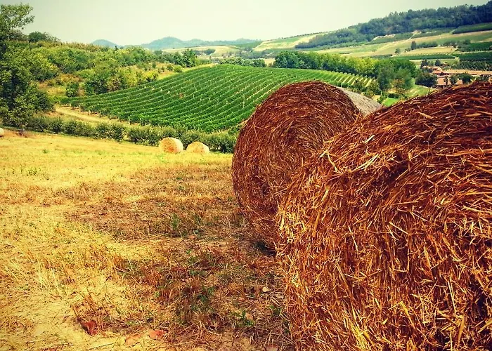 Hotel Medea (adults Only) 3*