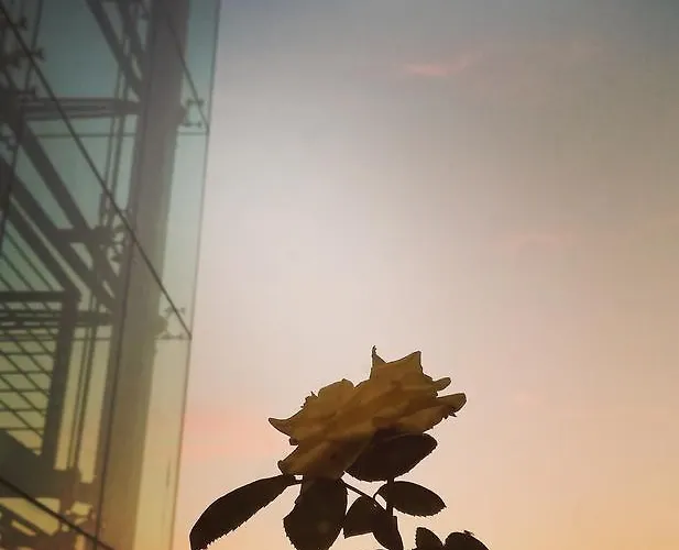 Medea (adults Only) 3*